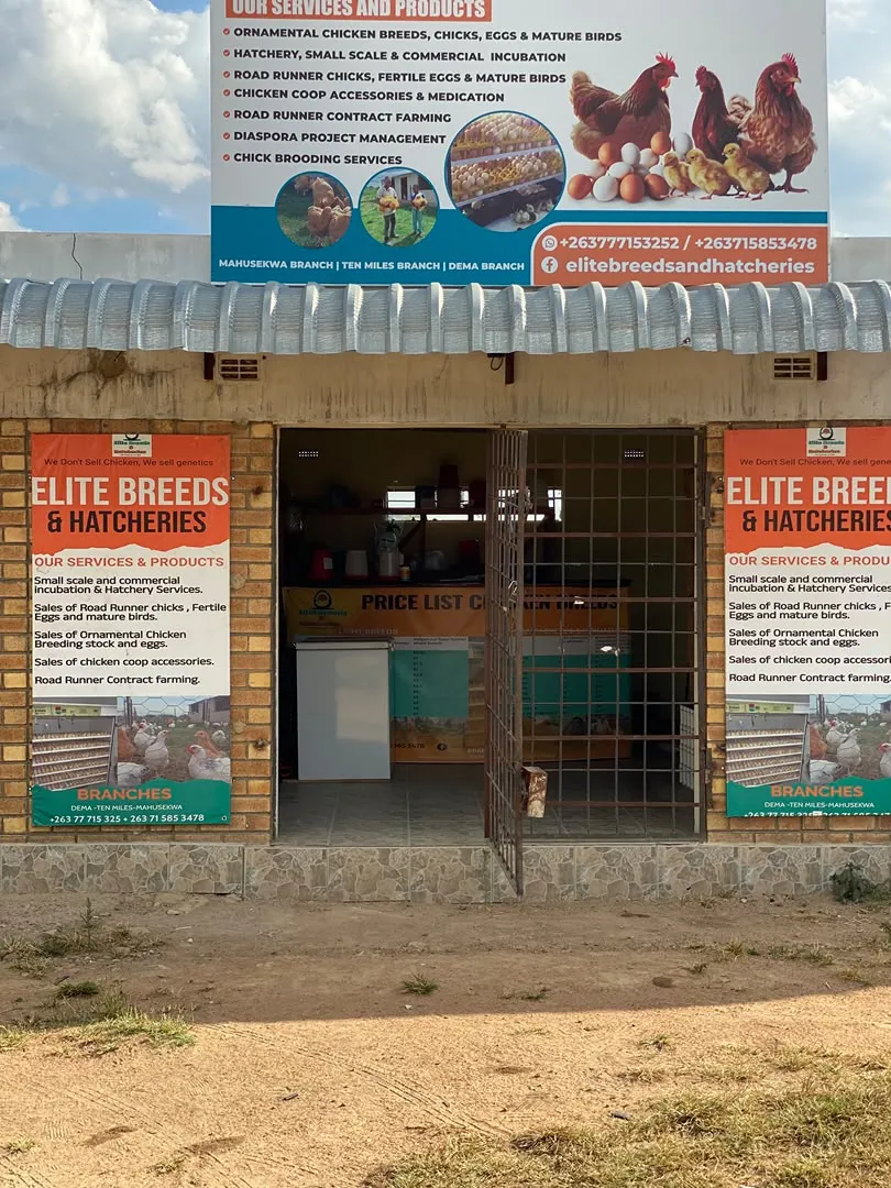 The Elite Breeds & Hatcheries shop front in Dema, with branded banners and a signboard listing products and services