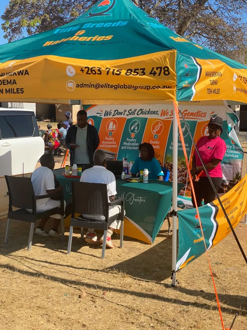 The Elite Breeds & Hatcheries branded gazebo at a community event, with the team talking to visitors at a table