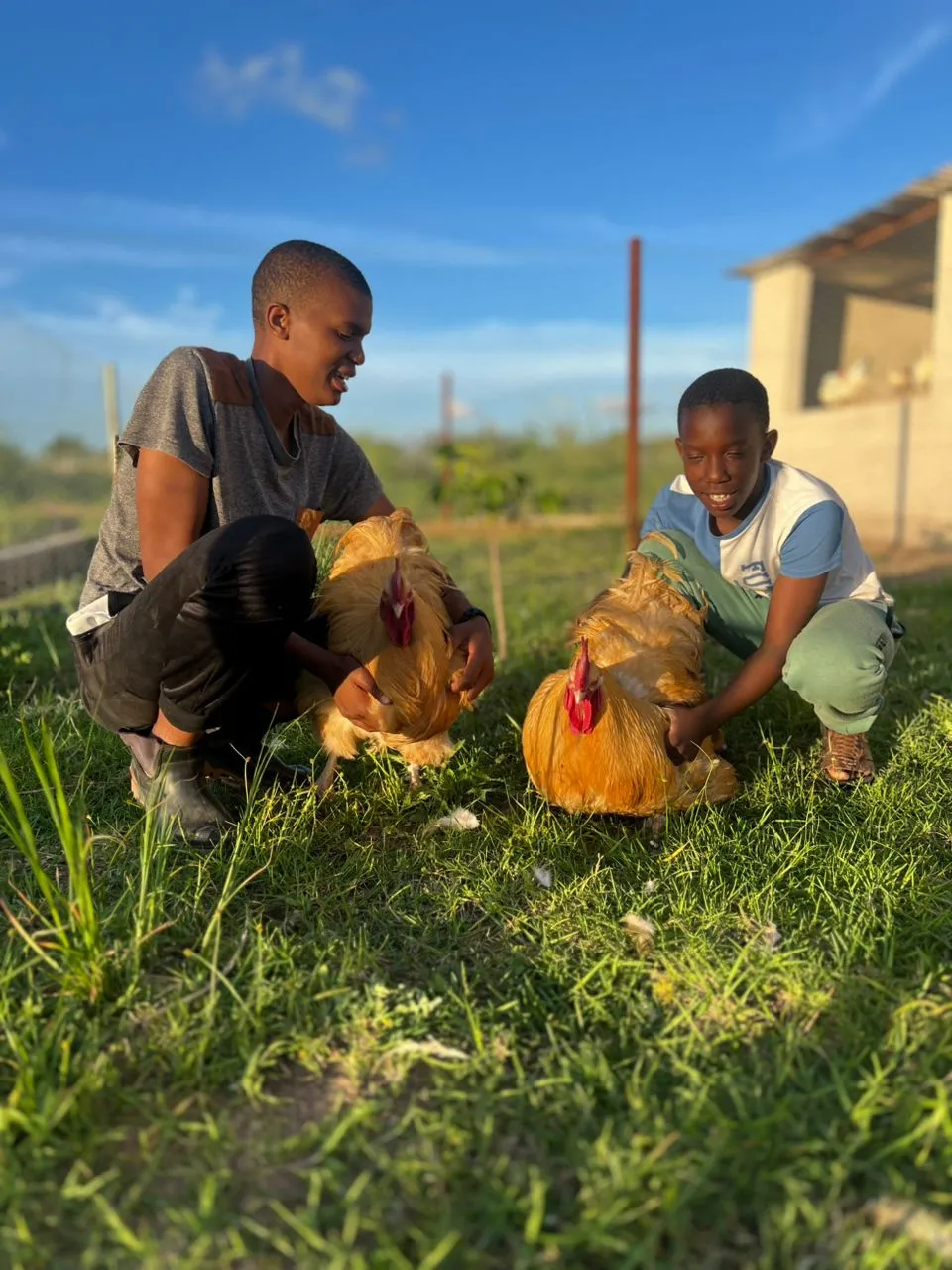 Two smiling young people crouching on the grass beside a poultry house, each holding a buff-coloured rooster